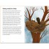 Ladybird A Ladybird Book: Baby Animals