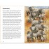 Ladybird A Ladybird Book: Baby Animals
