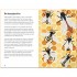 Ladybird A Ladybird Book: Insects and Minibeasts