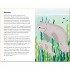 Ladybird A Ladybird Book: Sea Creatures