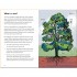 Ladybird A Ladybird Book: Trees