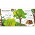 Ladybird Trees: A lift-the-flap eco book