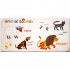 The Very Hungry Caterpillar: Touch and Feel Playbook