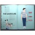Thames and Hudson Anatomy: A Cutaway Look Inside the Human Body