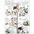 Thames and Hudson The Big Book of Birds