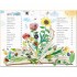 Thames and Hudson The Big Book of Blooms