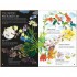 Thames and Hudson The Big Book of Blooms
