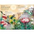 Thames and Hudson The Big Book of Blooms