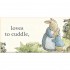 Peter Rabbit Buggy Book