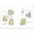 The Complete Adventures of Peter Rabbit