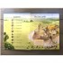 Usborne See inside Castles