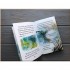Usborne The Little Mermaid