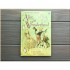 Usborne Alice in Wonderland