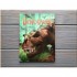 Usborne Dinosaurs