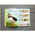 Usborne Eggs and Chicks