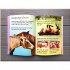 Usborne Horses and Ponies