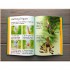 Usborne Spiders