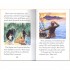 Usborne Treasure Island