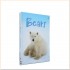 Usborne Bears