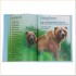 Usborne Bears