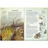 Usborne History of Britain