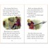 Usborne Robin Hood