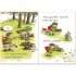 Usborne The Golden Goose