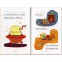 Usborne Why the Sea is Salty
