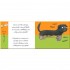 Nosy Crow Axel Scheffler's Flip Flap Pets