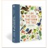 Nosy Crow I Am the Seed That Grew the Tree