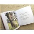 Egmont Winnie-the-Pooh: Eeyore Loses a Tail