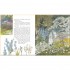 Walker Books The Secret Garden