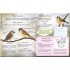 Walker Books We're Going on a Bear Hunt: Let's Discover Birds