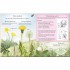 Walker Books We're Going on a Bear Hunt: Let's Discover Flowers and Trees