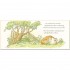 Walker Books Guess How Much I Love You (25th Anniversary Edition) Slipcase
