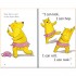 Usborne Grizzly Bear Rock (Book 5)