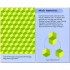 Usborne 50 Optical Illusions
