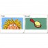 Usborne English for Beginners Flashcards