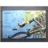 Usborne See inside Great Cities