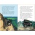 Usborne The 39 Steps