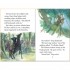 Usborne Adventures of Robin Hood