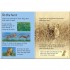 Usborne Tigers