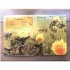 Usborne See inside The First World War