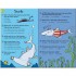 Usborne Animal Quiz Cards