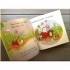 Usborne Snail Brings the Mail