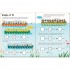 Usborne Wipe-Clean Multiplying