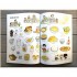 Usborne First Thousand Words in Polish