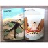 Usborne Sticker Dressing: Sports and Extreme Sports