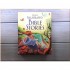 Usborne Illustrated Bible Stories