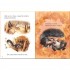 Usborne Baby Animals